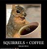 Click image for larger version. 

Name:	funny-pictures-squirrels-have-disco.jpg 
Views:	831 
Size:	31.0 KB 
ID:	1095